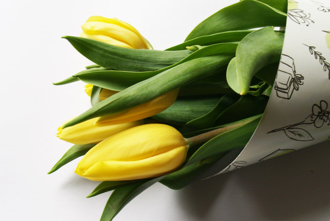 tulipan-tytulowa
